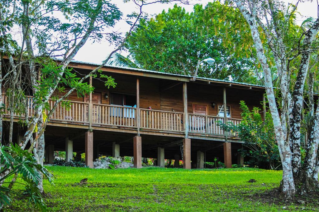 The Log Cab-Inn San Ignacio Rum bild