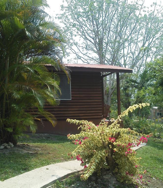 The Log Cab-Inn San Ignacio Rum bild