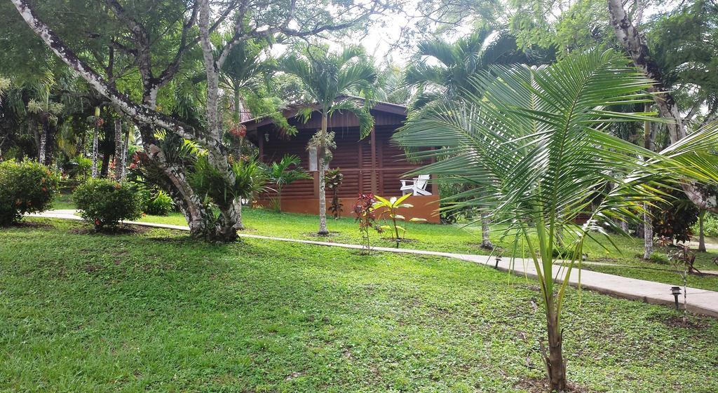 The Log Cab-Inn San Ignacio Exteriör bild