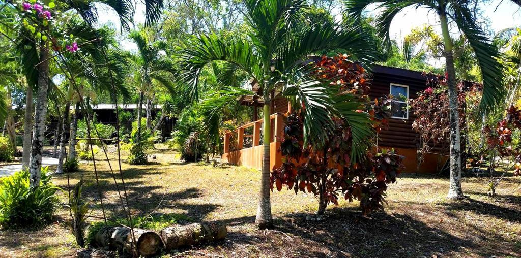The Log Cab-Inn San Ignacio Exteriör bild