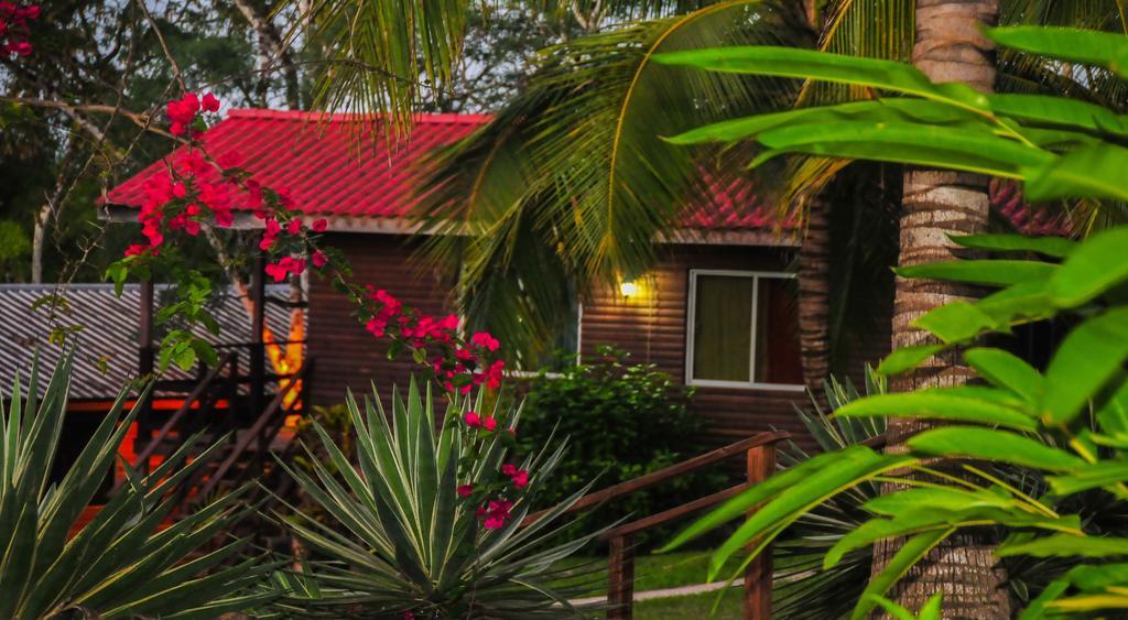 The Log Cab-Inn San Ignacio Rum bild