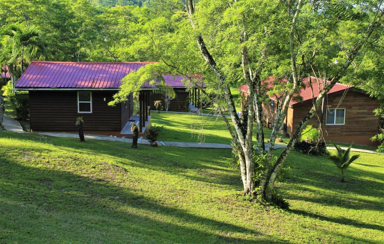 The Log Cab-Inn San Ignacio Exteriör bild
