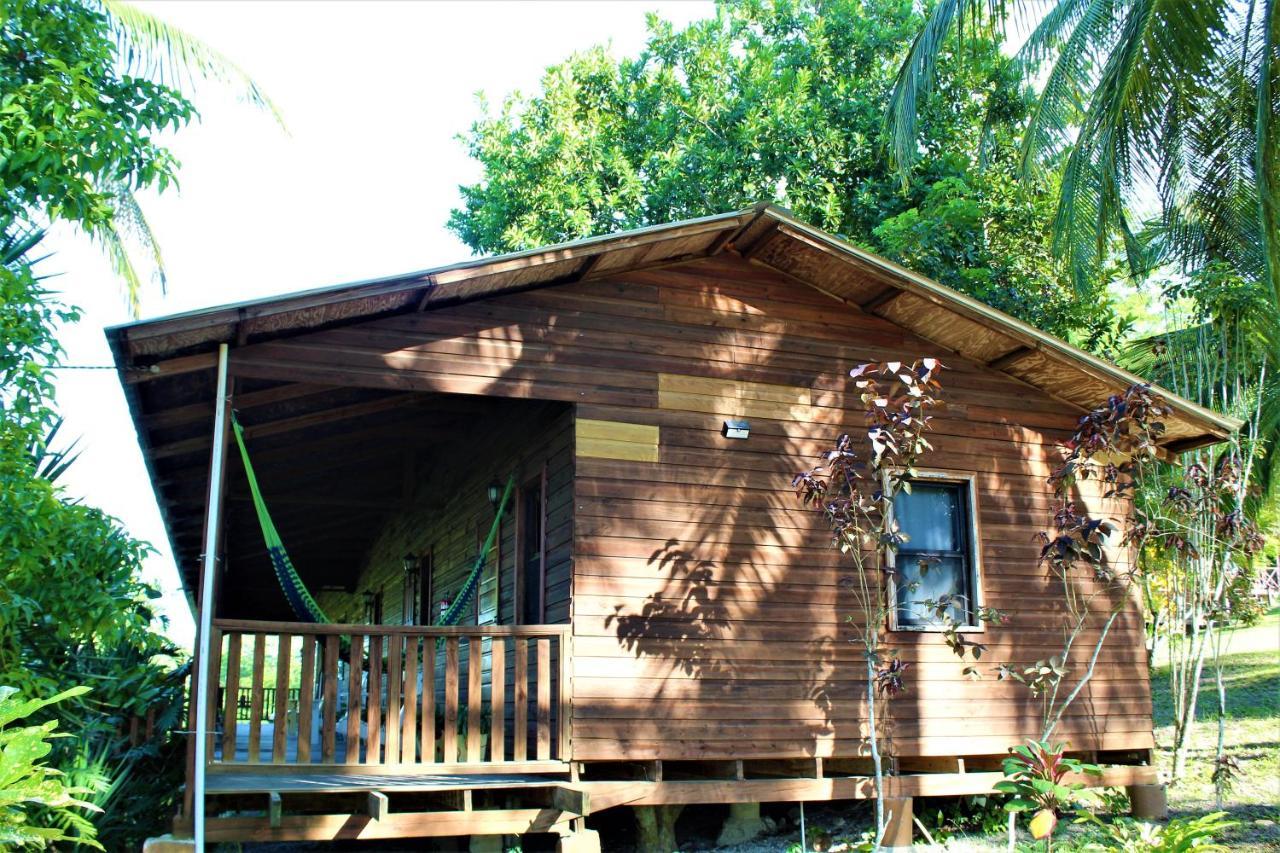 The Log Cab-Inn San Ignacio Exteriör bild
