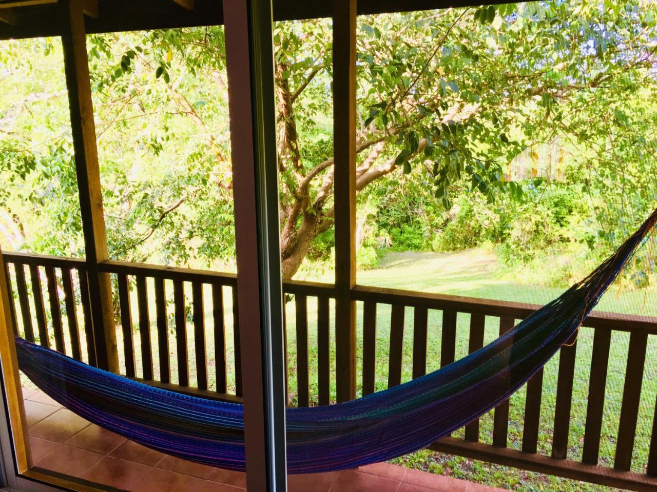 The Log Cab-Inn San Ignacio Exteriör bild