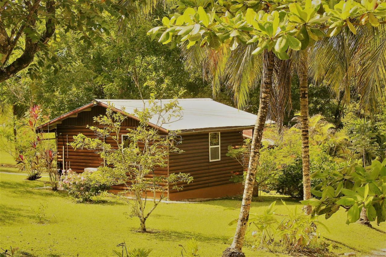 The Log Cab-Inn San Ignacio Exteriör bild