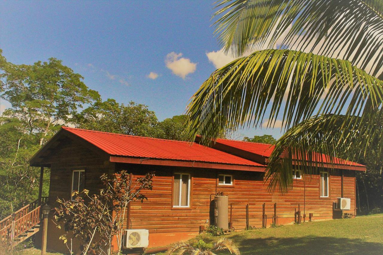 The Log Cab-Inn San Ignacio Exteriör bild
